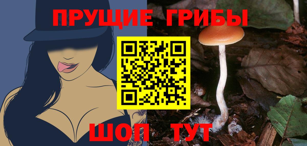 Омск  Псилоцибиновые грибы Magic Shrooms  Галлюциногенные грибы мухоморы  Вход с VPN 