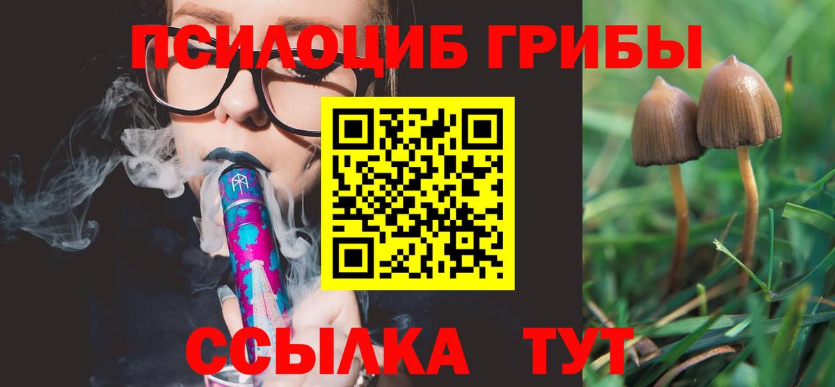 Галлюциногенные грибы GOLDEN TEACHER Омск